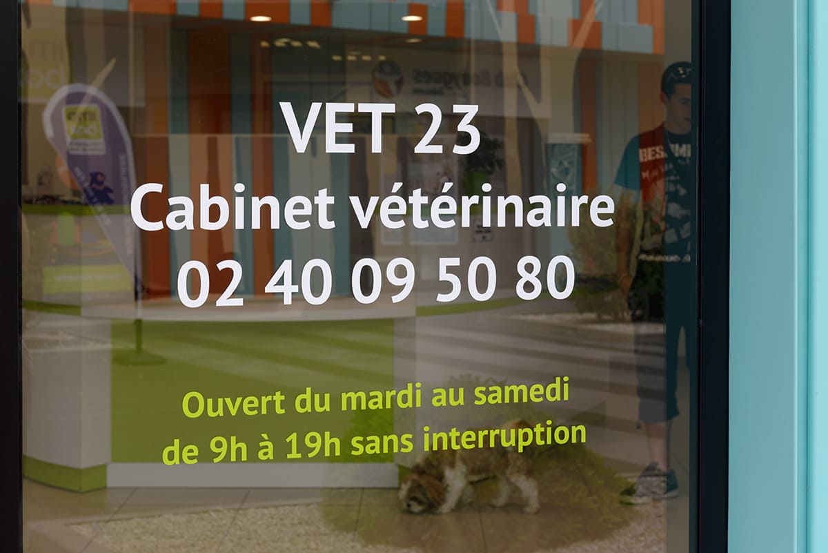 cabinet-veterinaire-vet-23.jpg